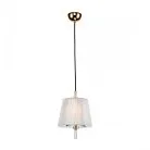 Подвесной светильник Favourite 2690-1P Sade