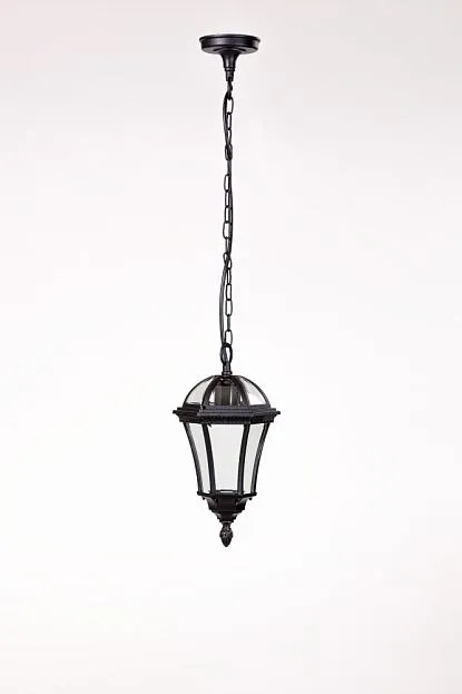 Уличный светильник подвесной Oasis Light 95205S Bl Уличный светильник подвесной Oasis Light 95205S Bl