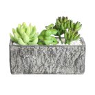 Искусственное растение в горшке Eglo 428009 CHITOSE