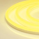 Образец Гибкий неон Arlight 035485