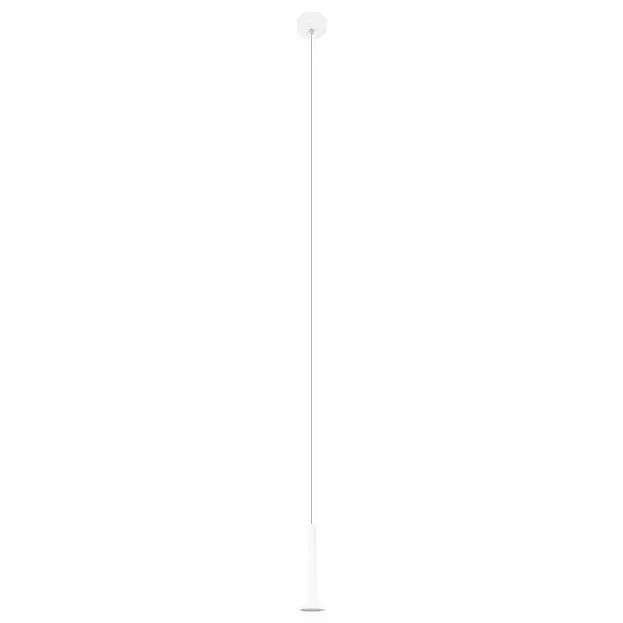 Подвесной светильник LOFT IT 10337/250 White Pipe