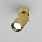 Потолочный светильник Technical Maytoni C108CL-01-GU10-BS Calipso