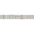 Светодиодная лента Arlight 018144(2) RGBW B144