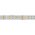 Светодиодная лента Arlight 018144(2) RGBW B144