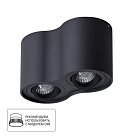 Светильник Потолочный Arte Lamp A5645PL-2BK FALCON