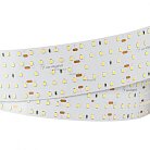 Светодиодная лента Arlight 021203 A420 60mm