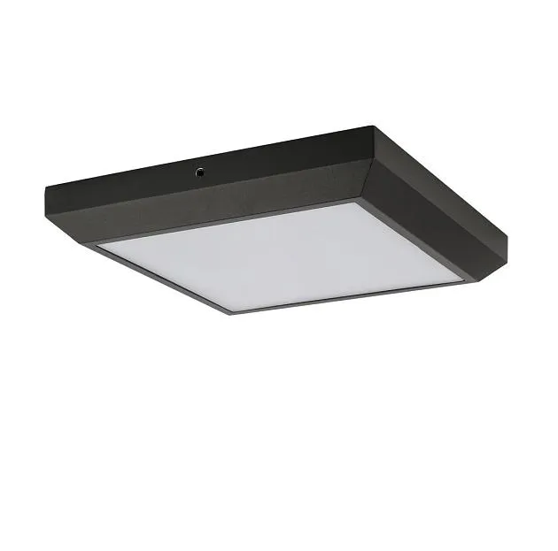 Потолочный светильник уличный Oasis Light W1021 Gr SIDNEY LED