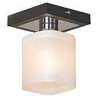 Потолочный светильник Lussole LSL-9007-01 Costanzo