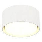 Светильник потолочный ST-Luce ST164.502.01