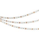 Светодиодная лента Arlight 035169 A120