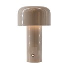 Интерьерная настольная лампа L'Arte Luce L69031.34 Gento