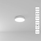 Потолочный светильник Arte Lamp A7335PL-1WH FADO