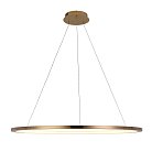 Подвесной светильник Loft IT 10014XL Ring