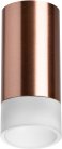 Накладной светильник Lightstar R43031 Rullo