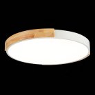 Потолочный светильник Evoluce SLE201352-01 DELIA