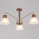 Потолочная люстра ILLUMICO IL0286-3C-79 BR