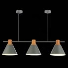 Подвесной светильник EVOLUCE SLE125113-03 Modica