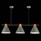 Подвесной светильник EVOLUCE SLE125113-03 Modica