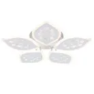 Потолочный светильник Escada 10278/5LED