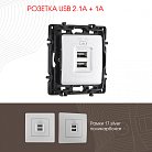 Розетка USB 2.1А+1А Arte Milano 217.46-1.silver am