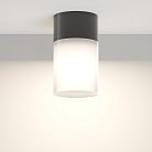 Потолочный светильник Maytoni O418CL-01B Willis