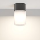 Потолочный светильник Maytoni O418CL-01B Willis