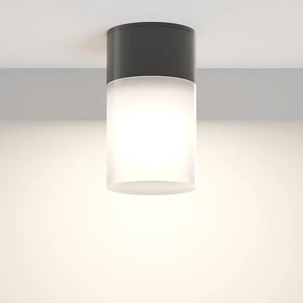 Потолочный светильник Maytoni O418CL-01B Willis