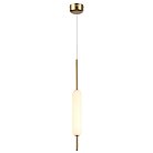 Подвес ODEON LIGHT 4794/12L REEDS
