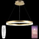 Подвесной светильник NATALI KOVALTSEVA LED LAMPS 81296