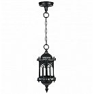 Уличный светильник подвесной Oasis Light 89905S Bl