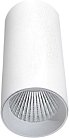 Накладной светильник Donolux DL18895R10N1W Rollo