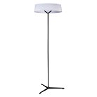 Торшер Divinare 1029/06 PN-11 ALMA