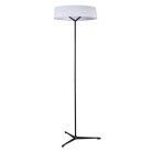 Торшер Divinare 1029/06 PN-11 ALMA