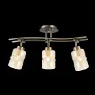 Потолочный светильник Citilux CL142134 Мерида