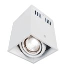 Встраиваемый светильник Arte Lamp A5942PL-1WH CARDANI