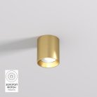 Накладной светильник со светодиодом Denkirs DK2610-SB SHINE TUBE