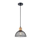Подвесной светильник Vele Luce VL6502P01 Folk