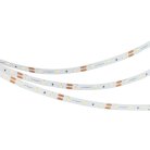 Светодиодная лента Arlight 035698 A60