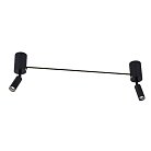 Спот Arte Lamp A2219PL-2BK RASALAS