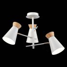 Люстра на штанге Evoluce SLE1252-502-03 Alfeo