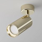 Потолочный светильник Maytoni C017CW-01G Focus