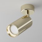 Потолочный светильник Maytoni C017CW-01G Focus