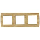 Рамка ЭРА 12-5003-11