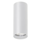 Светильник потолочный Barrel Feron 51923 ML103