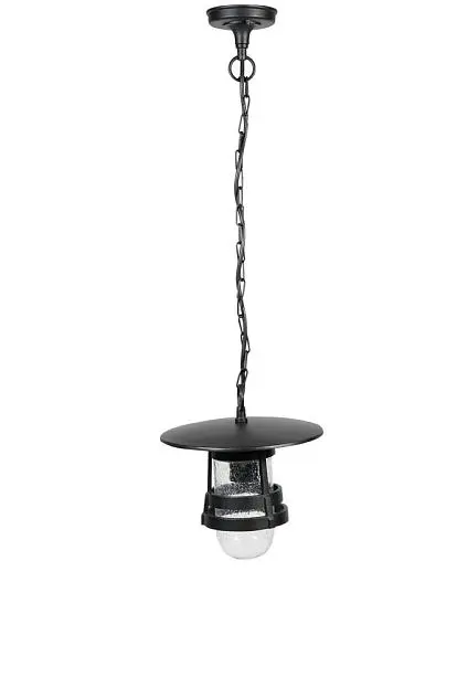Уличный светильник подвесной Oasis Light 68905 Bl Уличный светильник подвесной Oasis Light 68905 Bl