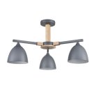 Люстра потолочная Е27 3*60W 220V Lumion 8096/3C COLANGE