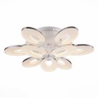 Потолочная люстра ST Luce SL900.502.09 NOSTI