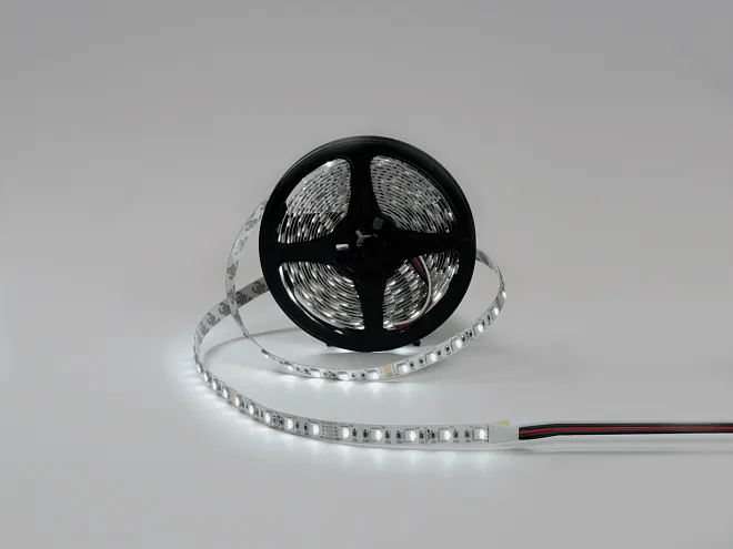 Светодиодная лента SWG SWG560-24-19.2-RGB+W-M