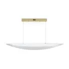 Подвесной светильник Freya FR5441PL-L40G Cloud