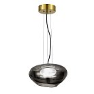 Светильник подвесной ST-Luce SL6019.303.01 FORAY
